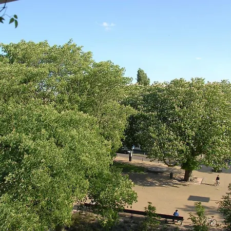 Treetop * Den Haag