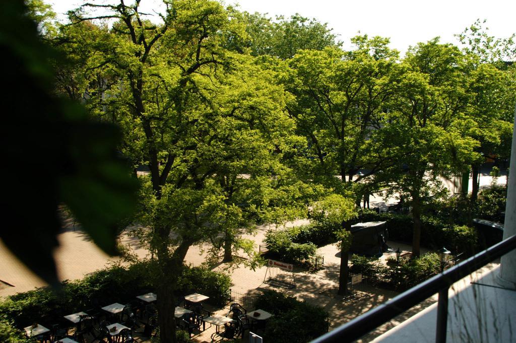 Treetop Appartement *